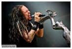 korn(8).jpg