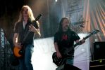 Carcass_2817729.JPG